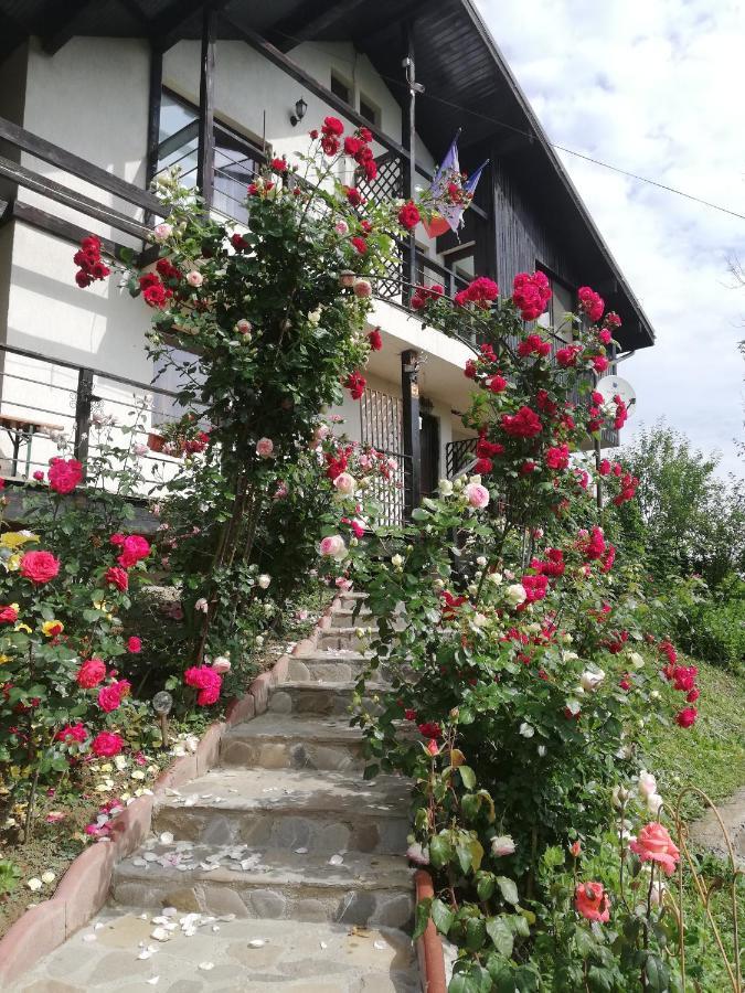 Hotel Casuta Cu Trandafiri Slănic Exterior foto