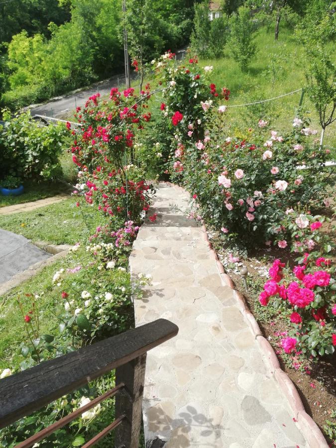 Hotel Casuta Cu Trandafiri Slănic Exterior foto