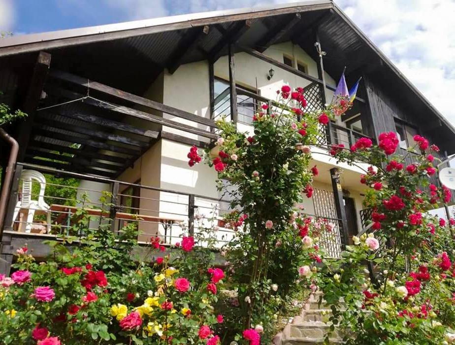 Hotel Casuta Cu Trandafiri Slănic Exterior foto