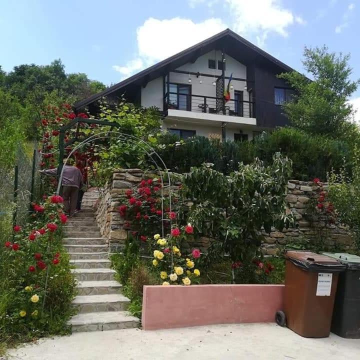 Hotel Casuta Cu Trandafiri Slănic Exterior foto